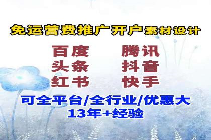 SEM广告投放的技巧与策略——成功案例分享